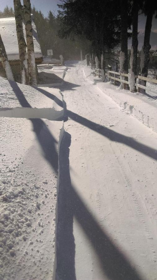 Chalet Les Sorbiers Egat Zewnętrze zdjęcie